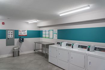 Bright laundry room